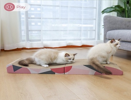 How to Train Your Cat to Use a Cat Scratcher?