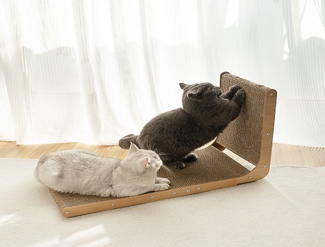 Which Cat Scratcher Shape Is Best for Your Cat?